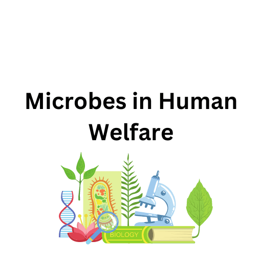 Microbes in Human Welfare